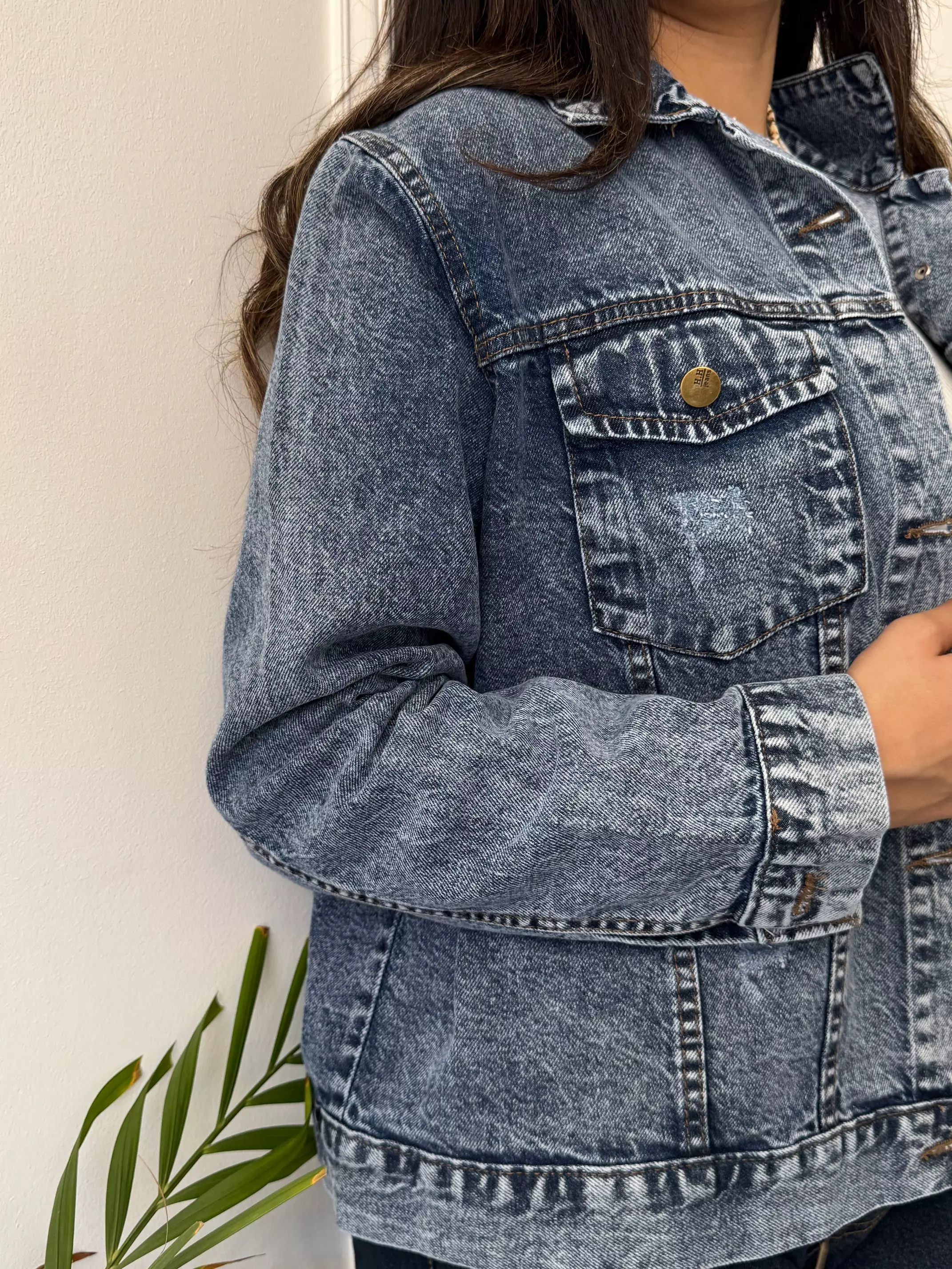 کت جین پرستو